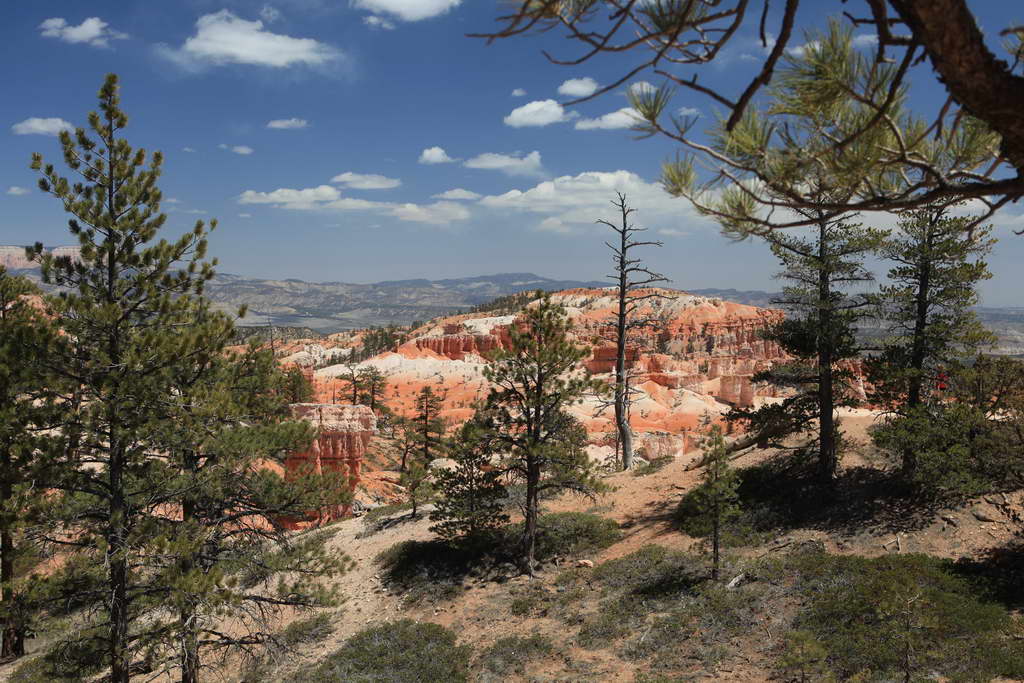 Bryce Canyon NP